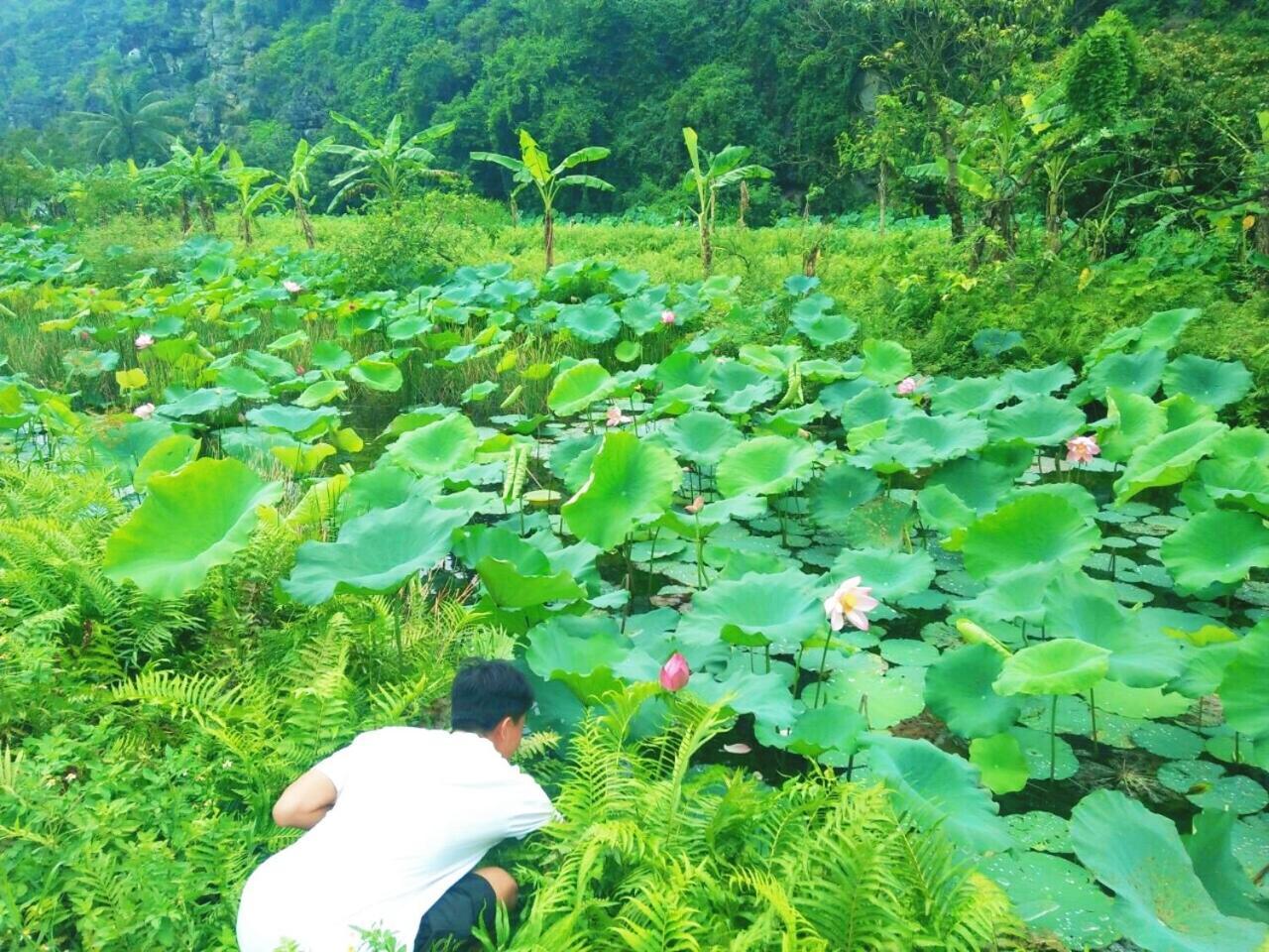 Sunny Trang An Homestay Ninh Bình Kültér fotó